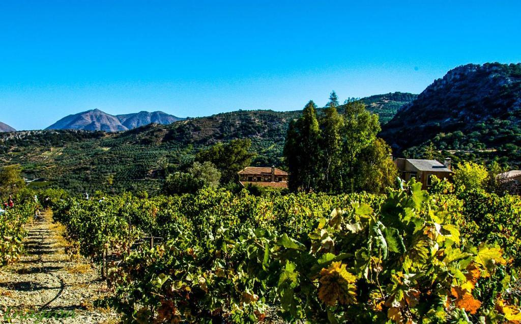 Enagron Ecotourism Village Axós Exteriér fotografie