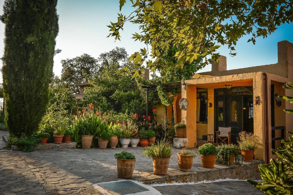 Enagron Ecotourism Village Axós Exteriér fotografie