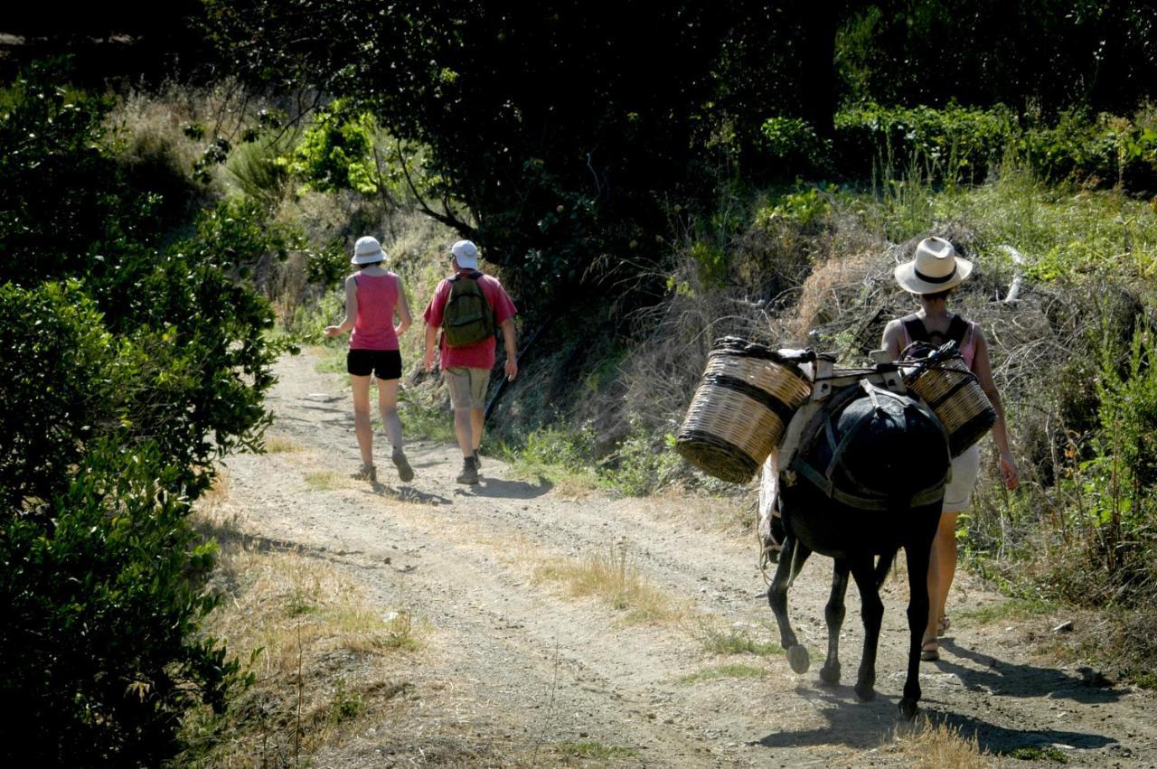 Enagron Ecotourism Village Axós Exteriér fotografie